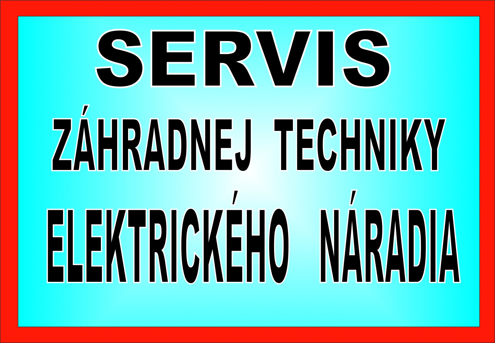 servis1