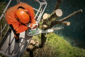 STIHL MS 194 T