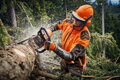 STIHL MS 462